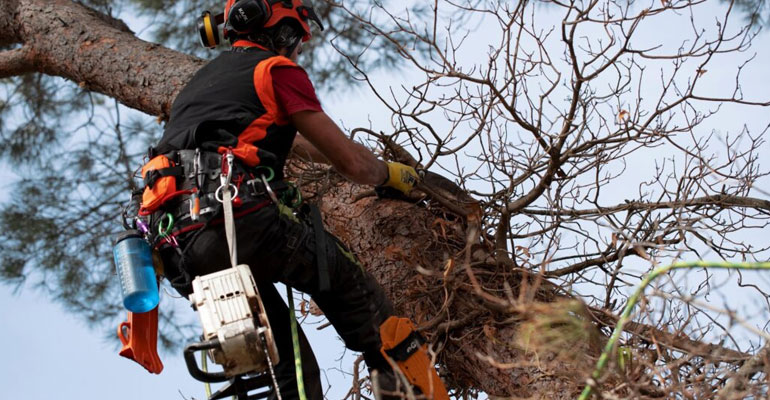 El valor de un enfoque respetuoso