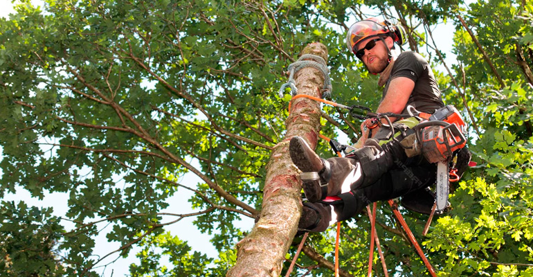 Seguridad y responsabilidad, un factor crítico en tu entorno Seguridad y responsabilidad, un factor crítico en tu entorno