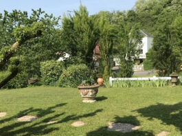 Mantenimiento de jardines: claves para un buen mantenimiento
